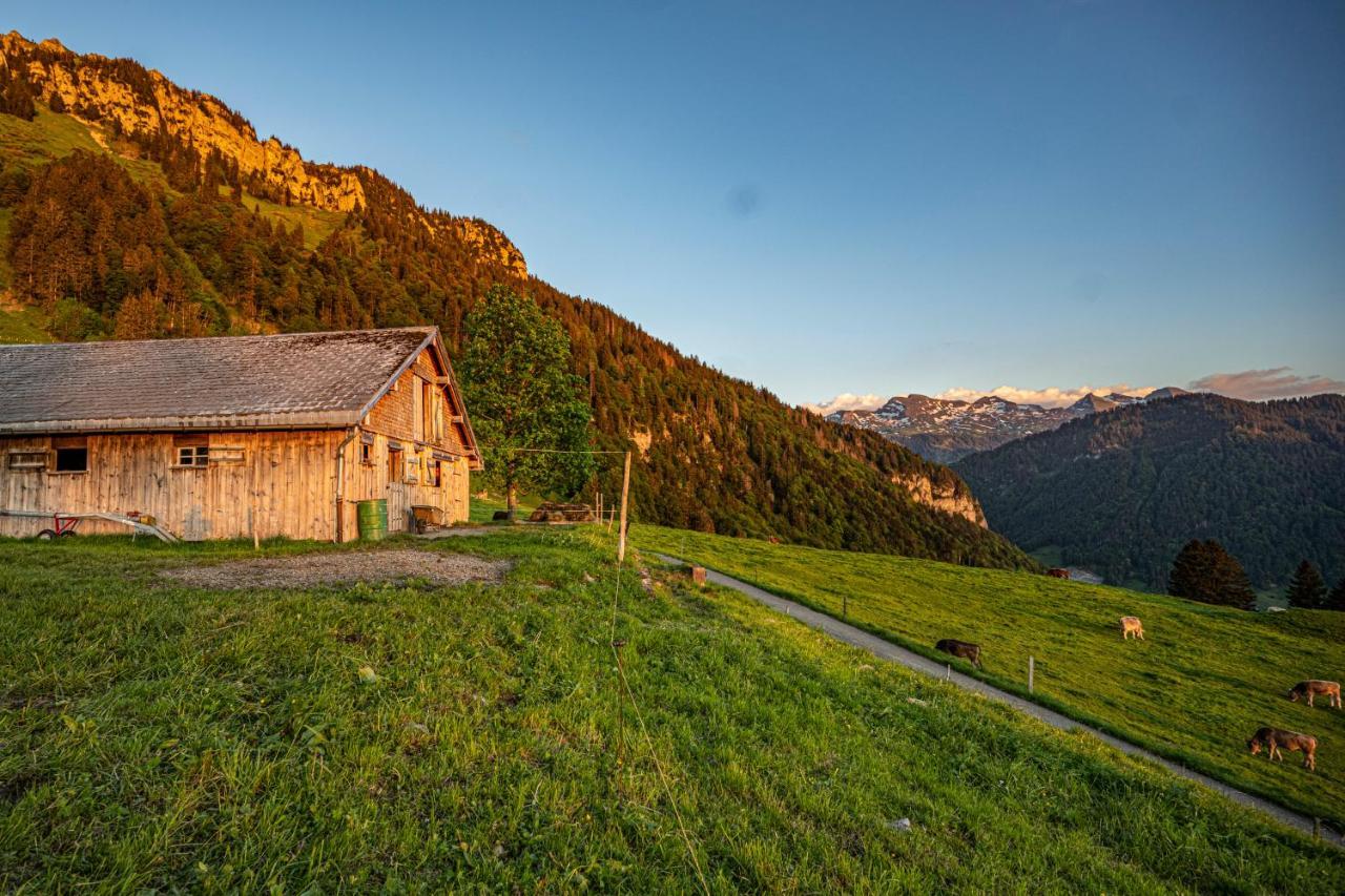 Wies Stein  Exterior foto